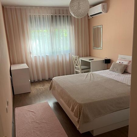 Guest House Amaya River بلوفديف المظهر الخارجي الصورة